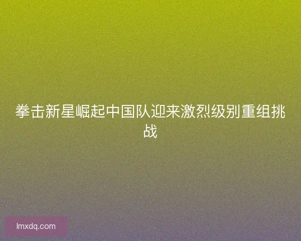 拳击新星崛起中国队迎来激烈级别重组挑战 拳击新星崛起中国队迎来激烈级别重组挑战