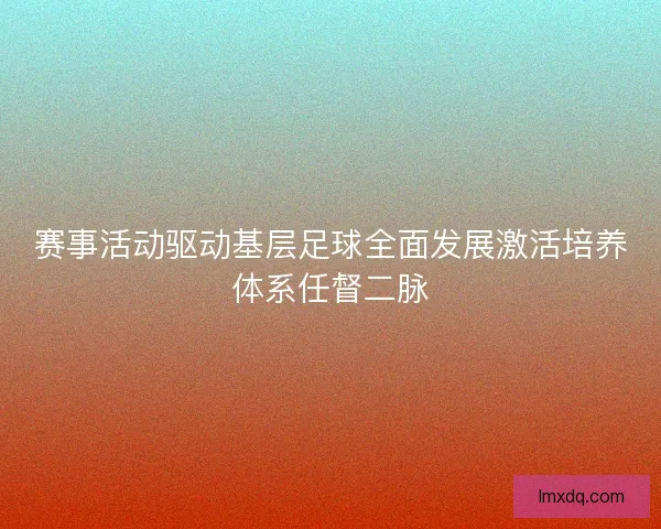 赛事活动驱动基层足球全面发展激活培养体系任督二脉