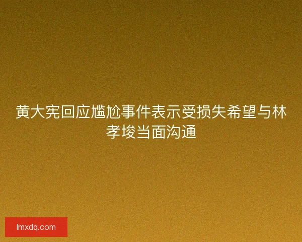 黄大宪回应尴尬事件表示受损失希望与林孝埈当面沟通